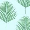 WALLQU- Maui Palm 1 WALLQU- Maui Palm