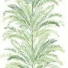 WALLQU- Keana Palm 1 WALLQU- Keana Palm