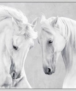 WENDOV- White Stallions