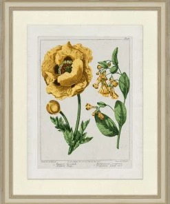 WENDOV- Sundance Floral 1