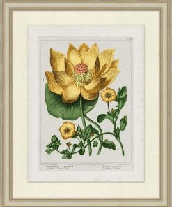 WENDOV- Sundance Floral 2