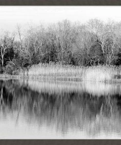 WENDOV- Riverbank Reflection