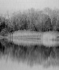 WENDOV- Metallic Riverbank Reflection