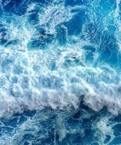 WENDOV- Coastal Into The Blue