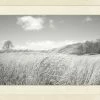 WENDOV- Landscape Windy Grasses 2 WENDOV- Landscape Windy Grasses