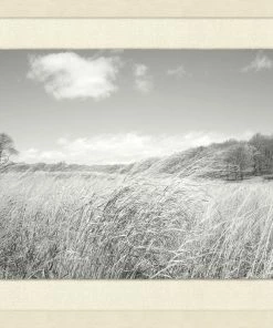 WENDOV- Landscape Windy Grasses