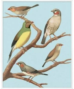 WENDOV- Nature Perched 1