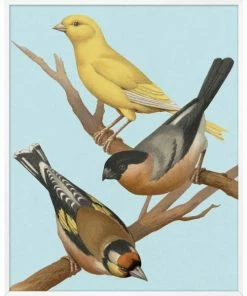 WENDOV- Perched 2 Nature