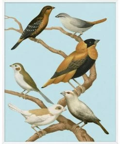 WENDOV- Perched 3 Nature