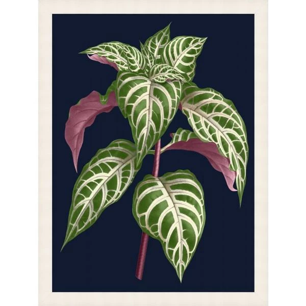 WENDOV- Botany On Blue 2 Nature 3 WENDOV- Botany On Blue 2 Nature