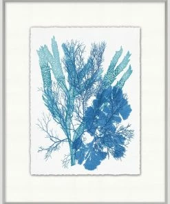 WENDOV- Azure Ocean Herbarium 1 Coastal
