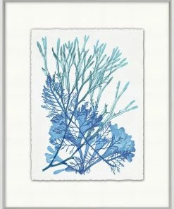 WENDOV- Coastal Azure Ocean Herbarium 2