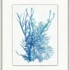 WENDOV- Coastal Azure Ocean Herbarium 3