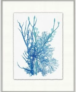 WENDOV- Coastal Azure Ocean Herbarium 3