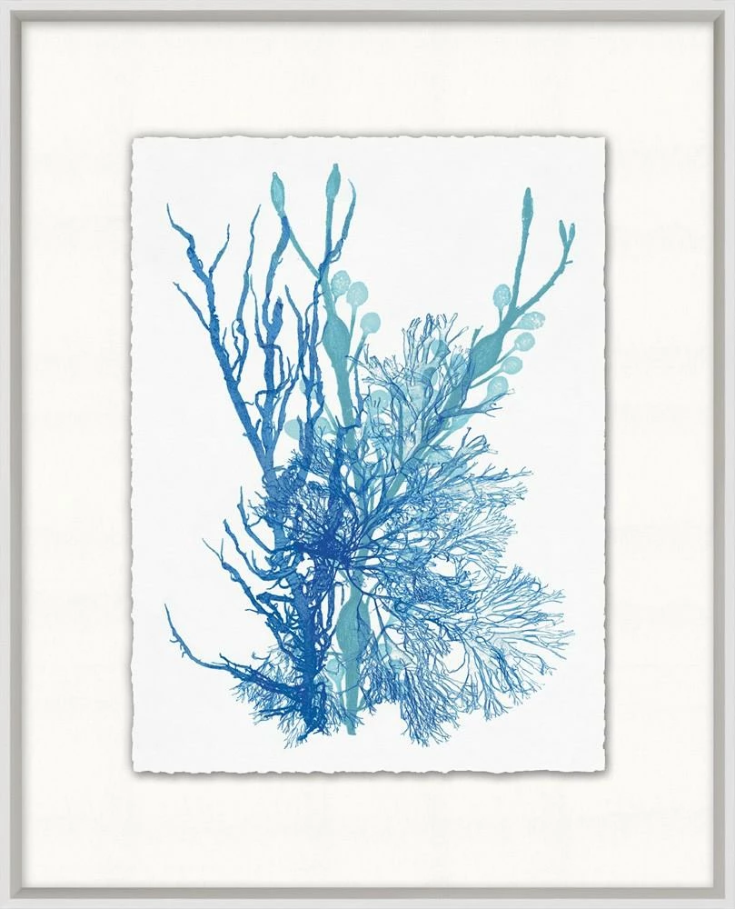 WENDOV- Coastal Azure Ocean Herbarium 3 3 WENDOV- Coastal Azure Ocean Herbarium 3