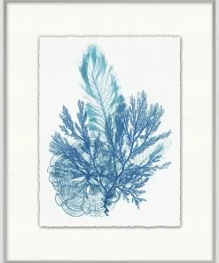 WENDOV- Azure Ocean Herbarium 4