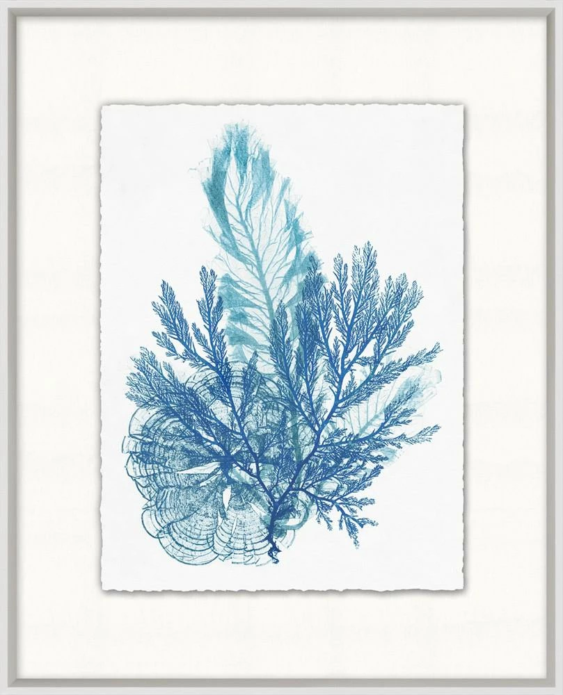 WENDOV- Azure Ocean Herbarium 4 3 WENDOV- Azure Ocean Herbarium 4