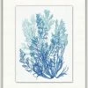 WENDOV- Azure Ocean Herbarium 5