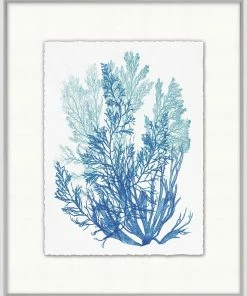WENDOV- Azure Ocean Herbarium 5