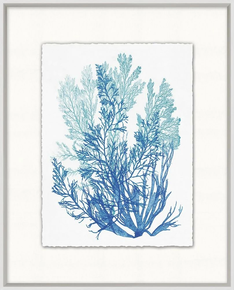 WENDOV- Azure Ocean Herbarium 5 3 WENDOV- Azure Ocean Herbarium 5