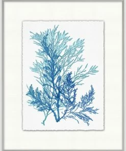 WENDOV- Azure Ocean Herbarium 6 Coastal