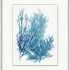 WENDOV- Azure Ocean Herbarium 7