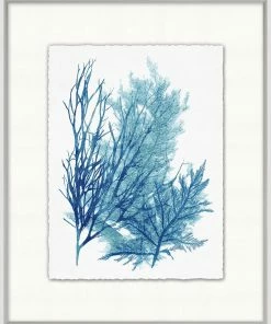 WENDOV- Azure Ocean Herbarium 7