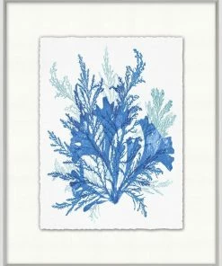 WENDOV- Azure Ocean Herbarium 8 Coastal