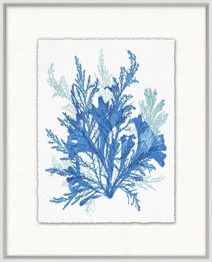 WENDOV- Azure Ocean Herbarium 8 Coastal 3 WENDOV- Azure Ocean Herbarium 8 Coastal