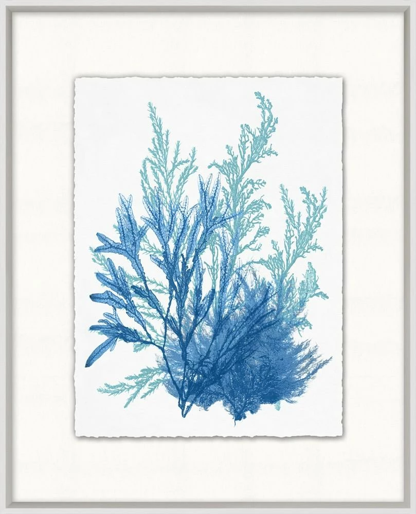 WENDOV- Azure Ocean Herbarium 9 Coastal 3 WENDOV- Azure Ocean Herbarium 9 Coastal
