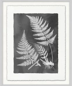 WENDOV- Fern Inspiration Grey 1 Nature