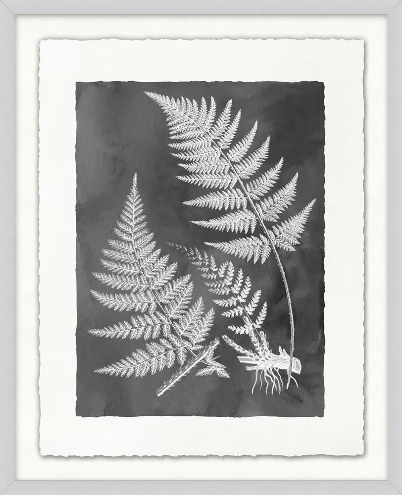WENDOV- Fern Inspiration Grey 1 Nature 3 WENDOV- Fern Inspiration Grey 1 Nature