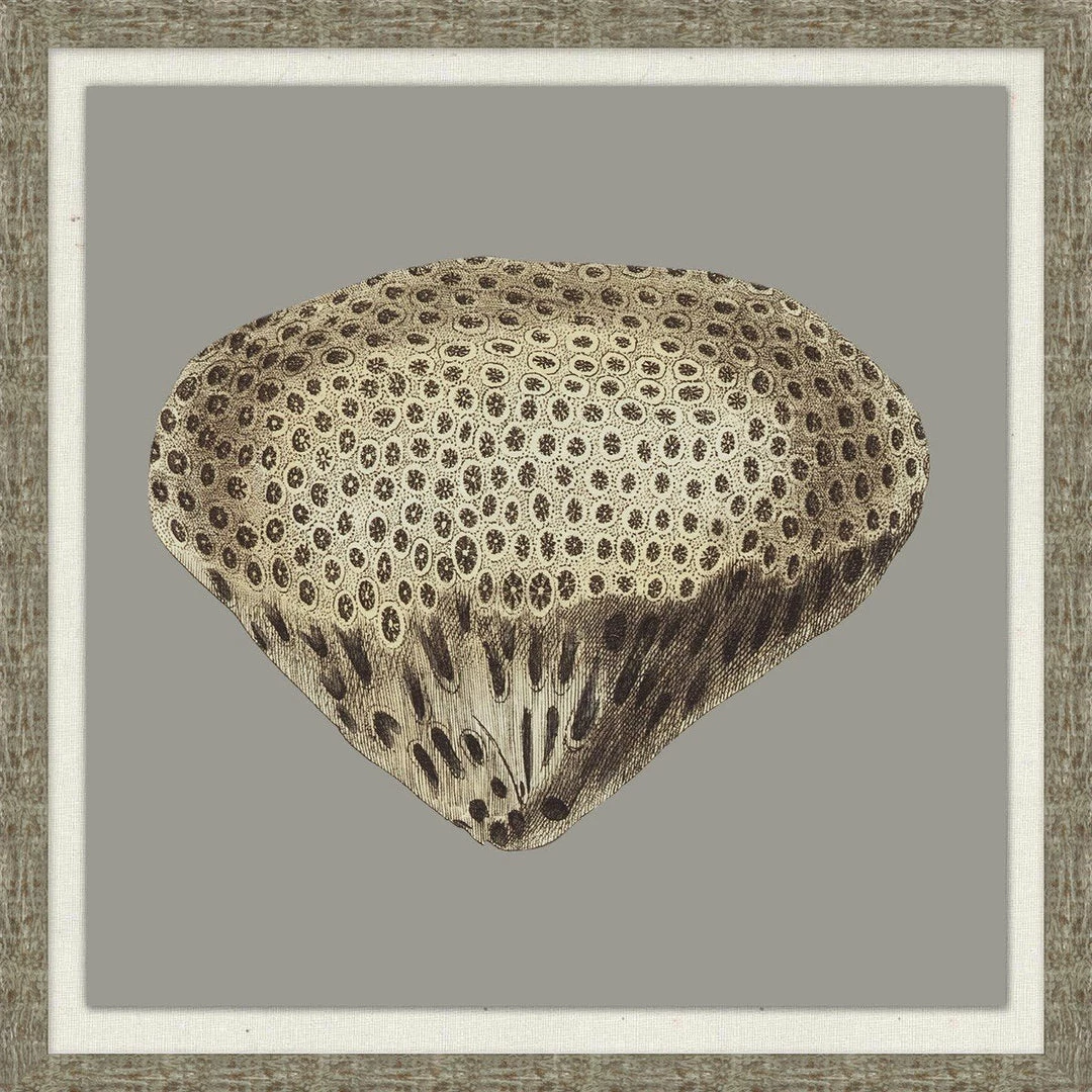 WENDOV- Coastal Graphic Coral Collection 2 3 WENDOV- Coastal Graphic Coral Collection 2