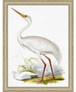 WENDOV- Nature Coastal Ornithology 4