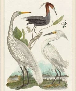 WENDOV- Trio Compsrison