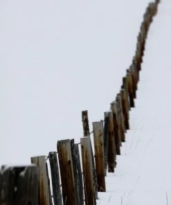 WENDOV- Photography Along The Fence