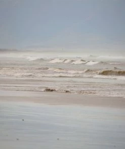 WENDOV- Photography Breaking Point