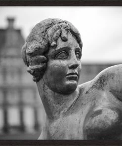 WENDOV- Paris Close Up Photography