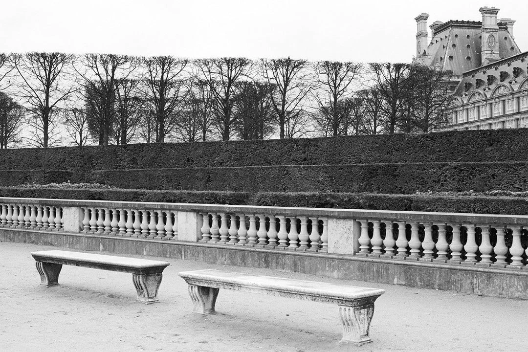WENDOV- Les Tuileries Benches 3 WENDOV- Les Tuileries Benches