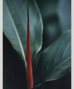 WENDOV- Photography Natural Texture Series 2