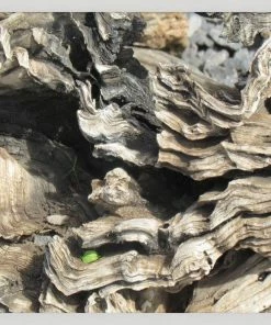 WENDOV- Photography Natural Texture Series 4