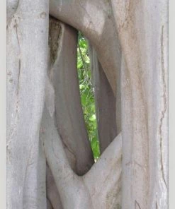 WENDOV- Photography Natural Texture Series 6