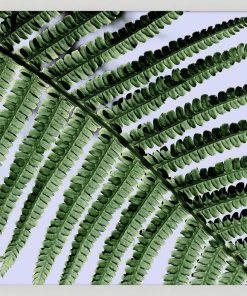 WENDOV- Natural Texture Series 9