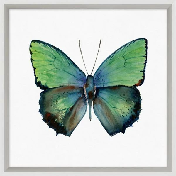 WENDOV- Nature Butterfly Study 1 3 WENDOV- Nature Butterfly Study 1