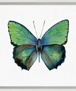 WENDOV- Butterfly Study 3