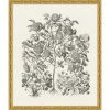 WENDOV- Floral Bessler Study In Neutral 1 2 WENDOV- Floral Bessler Study In Neutral 1