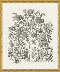 WENDOV- Floral Bessler Study In Neutral 1