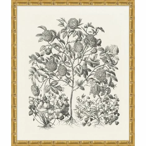 WENDOV- Floral Bessler Study In Neutral 1 3 WENDOV- Floral Bessler Study In Neutral 1