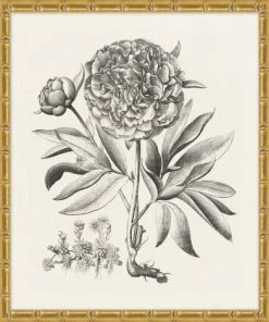 WENDOV- Bessler Study In Neutral 2