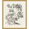 WENDOV- Floral Bessler Study In Neutral 3